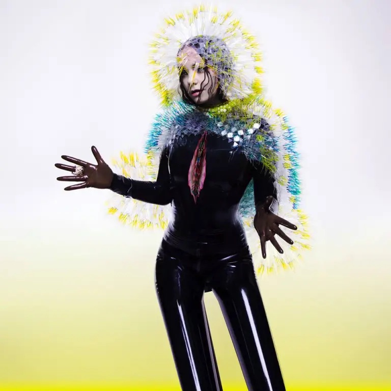 Ảnh bìa album Vulnicura Bjork.