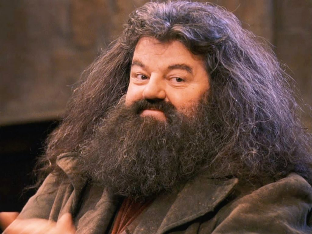 Tạm biệt bác Hagrid khổng lồ
